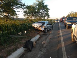 [Vídeo]Condutor perde a direção do veículo e provoca acidente na AL-115, em Arapiraca