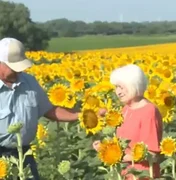 Fazendeiro planta 1,2 milhão de girassóis em homenagem à mulher