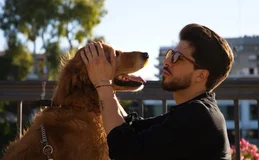Empresa quer lançar tradutor de sons e gestos de animais para humanos