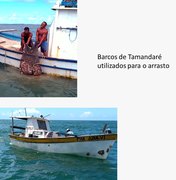 ICMBIo estabelece normas para pesca de camarão na Costa dos Corais