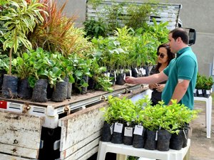 Prefeitura leva arborização e limpeza à Feira de Serviços