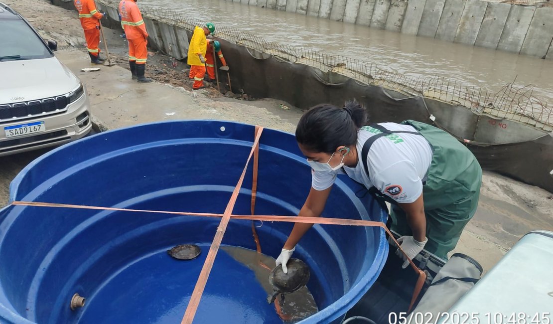 MP recomenda paralisação imediata das obras do Renasce Salgadinho para proteger animais