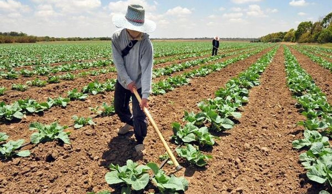 Produção agrícola brasileira cresceu 8,2% em 2015, segundo Conab