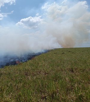 [Vídeo] Incêndio em vegetação mobiliza bombeiros e populares em Limoeiro de Anadia