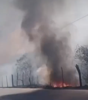 Incêndio em vegetação mobiliza Corpo de Bombeiros em Palmeira dos Índios
