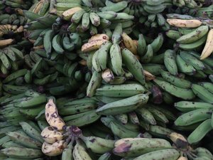 Prefeitura explica processo da merenda escolar com mais de 55 mil alunos beneficiados