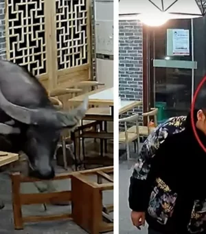 Búfalo invade restaurante na China e atinge homem em cheio; vejo o vídeo