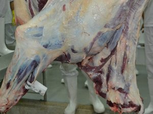 Reunião vai esclarecer operação da FrigoVale