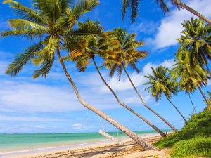 Júri nacional aprova selo Bandeira Azul da Praia do Patacho pela 3ª vez