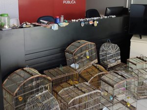 Casal é preso com drogas, dinheiro e animais silvestres em Porto Real do Colégio
