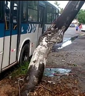 [Vídeo] Ônibus bate em poste e motorista é levado ao hospital