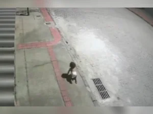 Bebê é encontrada sozinha engatinhando na rua durante madrugada no Espírito Santo