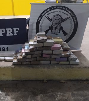 Policiais apreendem 39kg de drogas em caminhão-cegonha, na BR-101, em São Sebastião