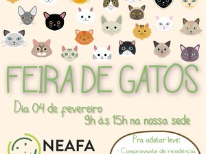 Doação: Neafa realiza primeira feira de adoção só para gatos em fevereiro