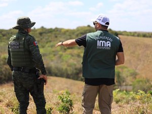 Fiscalização flagra área desmatada equivalente a mais de 200 campos de futebol no Agreste