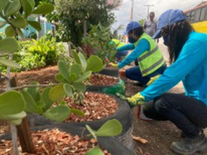 Desenvolvimento Sustentável revitaliza antigo ponto de lixo no bairro Levada