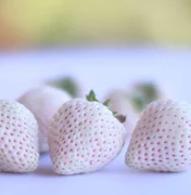 Morango branco? Produtor de Atibaia faz modificação genética e consegue fruto branco