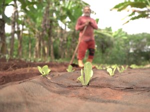 Reaproveitamento de geobags por agricultores em Arapiraca é finalista em 'oscar' do saneamento