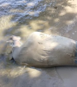 Corpo com fio enrolado no pescoço é encontrado dentro de saco na Lagoa Manguaba