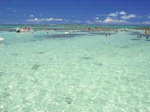 Maragogi determina limite de fotógrafos nas piscinas naturais