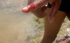 'Piranhas brancas' atacam banhistas em Traipu
