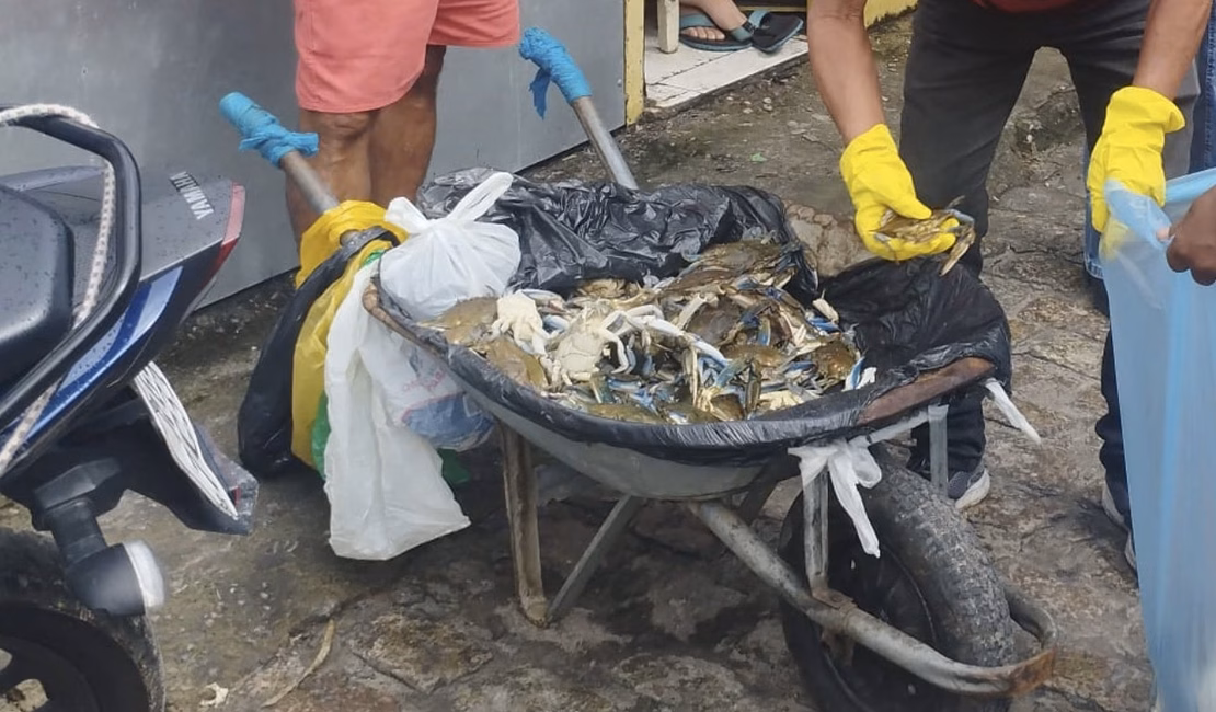 Após várias advertências, Prefeitura de Penedo apreende pescados impróprios na feira livre