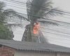Raio atinge coqueiro e provoca incêndio durante forte chuva em Arapiraca