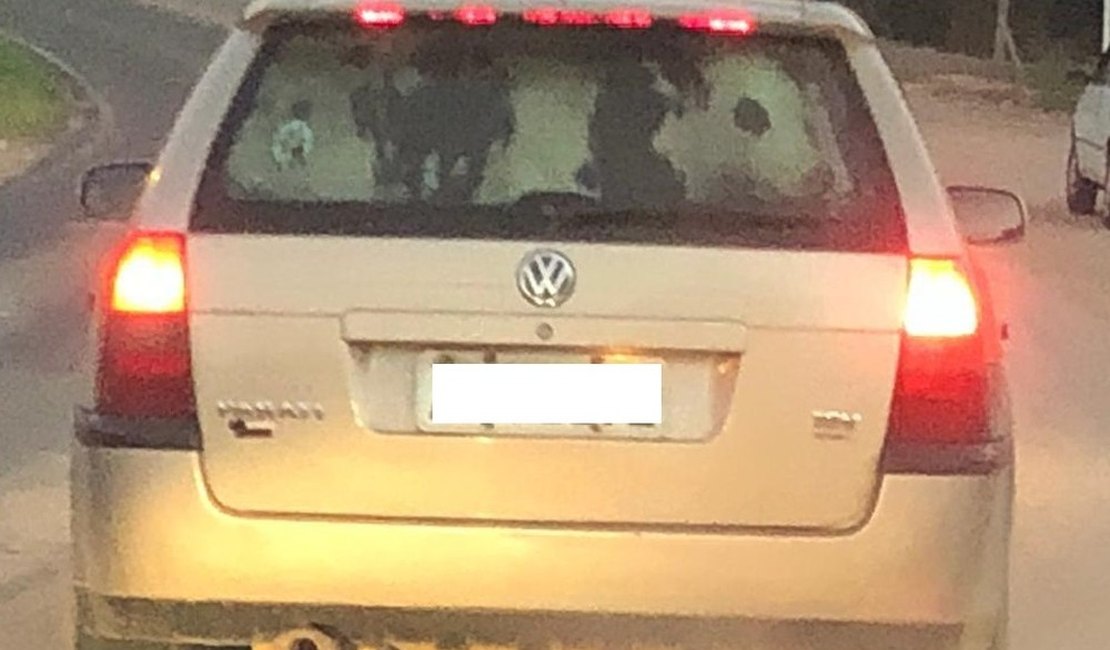 Vaca é flagrada sendo transportada dentro de carro