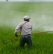  Congresso recebe 160 mil assinaturas contra liberação de agrotóxicos