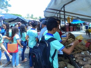 Combate ao Aedes é tema das comemorações do Dia Mundial da Saúde