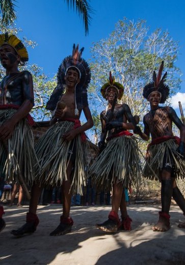 Conselho Nacional solicita homologação imediata das terras dos Xucuru-Kariri em Alagoas