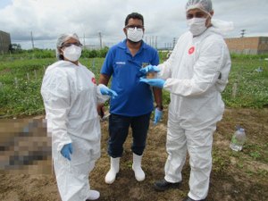 IML de Arapiraca identifica ossada carbonizada encontrada em canavial no agreste Alagoano