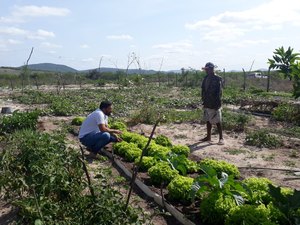 Emater realizou mais de 175 mil atendimentos aos agricultores familiares em 2021