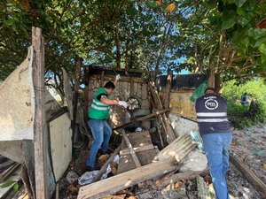Segurança Cidadã apreende drogas e remove barracos no Vergel do Lago