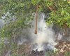 Polícia Militar registra ocorrência de incêndio em área de preservação em Fernão Velho