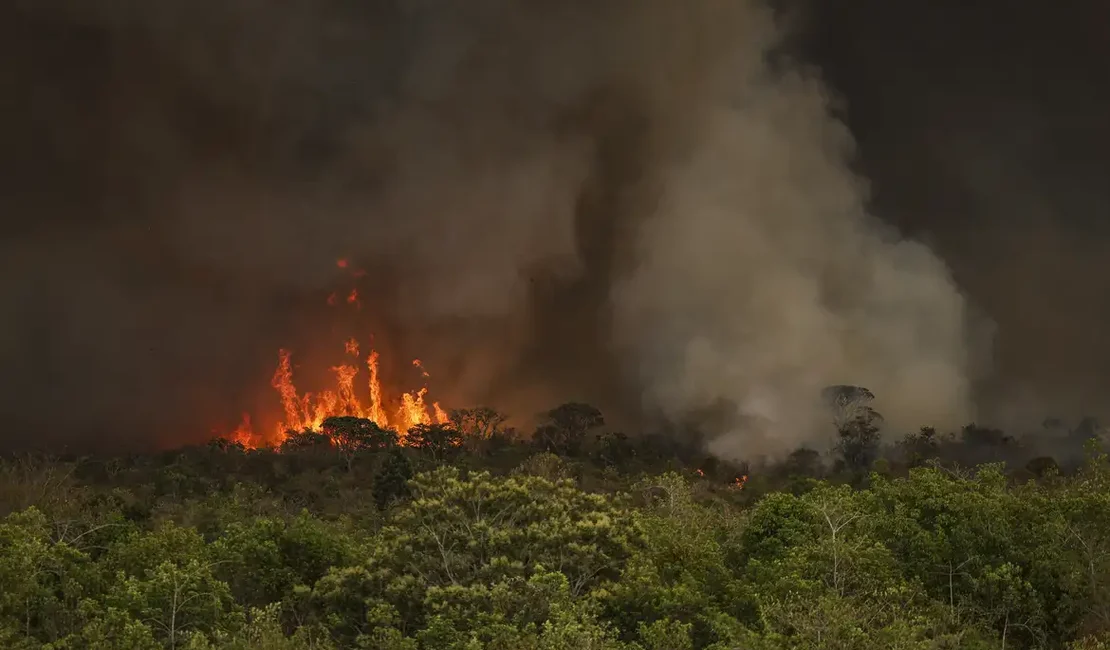 Incêndios podem ter afetado mais de 11 milhões de pessoas no Brasil, diz CNM