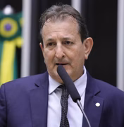 Lei brasileira é insuficiente para punir queimadas, diz presidente do Ibama