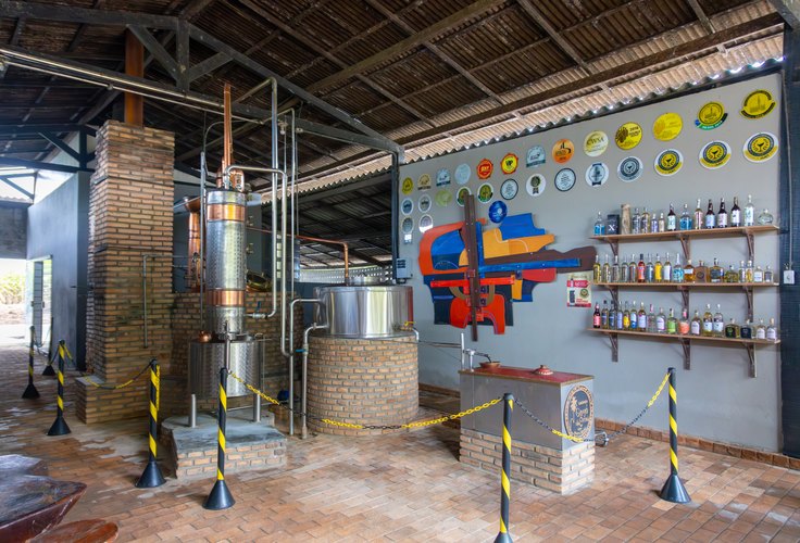 Cachaça: tradição brasileira que impulsiona turismo e empreendedorismo no Agreste