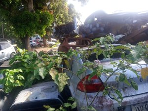 Estado busca sensibilizar Judiciário para reduzir  quantidade de veículos amontoados em delegacias