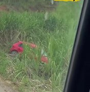 Carro sobra em curva da AL-105 e para em canavial de Porto Calvo