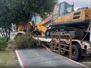 [Vídeo] Carreta invade ciclovia, derruba árvores e causa estragos na Avenida Durval de Góes Monteiro