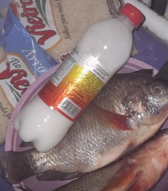 Prefeitos são denunciados pela baixa qualidade do pescado distribuído na Semana Santa