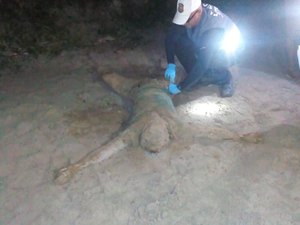 Corpo é encontrado em cova rasa na praia de São Miguel dos Milagres