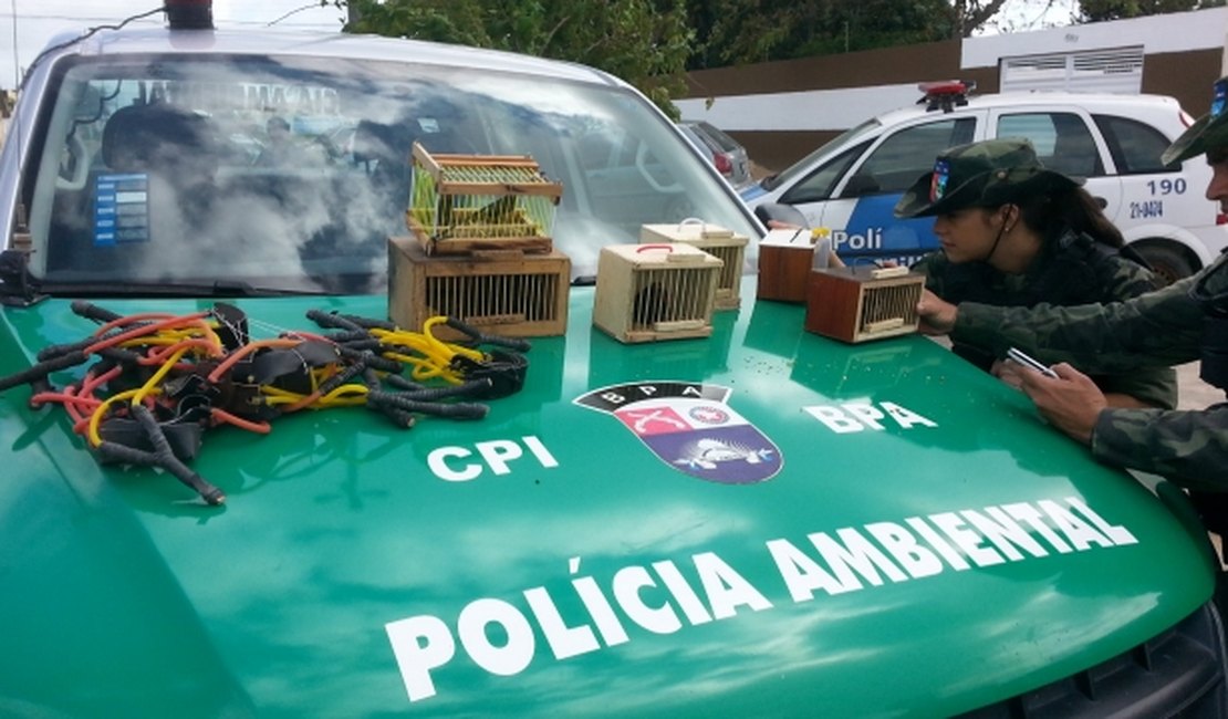 Operação apreende animais em feira no centro de São Miguel