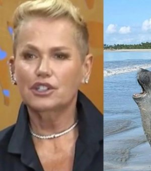 Xuxa cobra justiça após morte brutal do elefante-marinho Leôncio em Alagoas