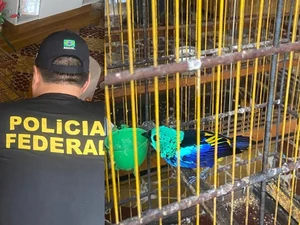 PF investiga sumiço de aves ameaçadas de extinção em zoológico de Alagoas