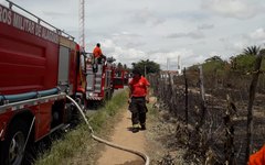 Incêndio atinge vegetação na Santa Amélia