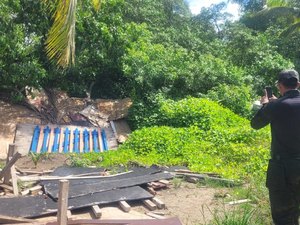 Obra é multada por irregularidades após mortes de peixes-boi no Litoral Norte