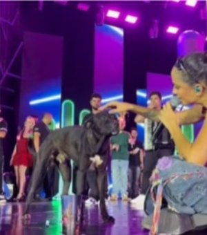 Cantora Michele Andrade adota cachorro que invadiu palco em show