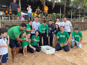 Nascimento raro de 90 tartarugas-verdes é registrado no litoral de Alagoas